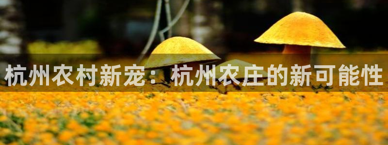 琳琅社区娱乐视频
