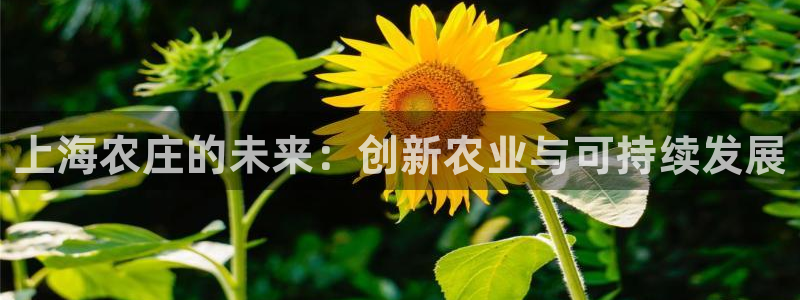 梧州琳琅娱乐城
