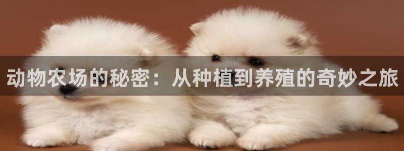 琳琅娱乐装7O777