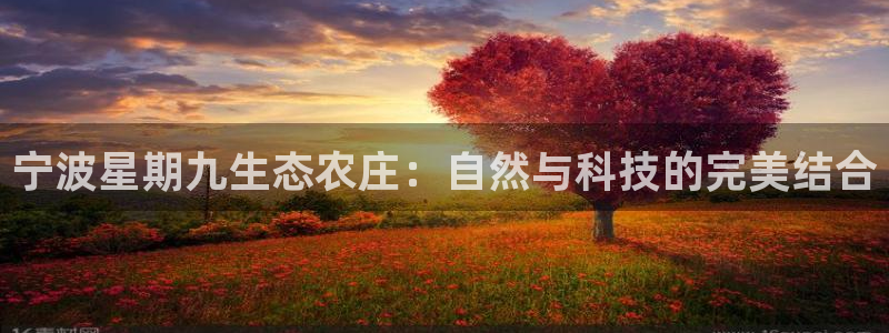 琳琅社区娱乐视频
