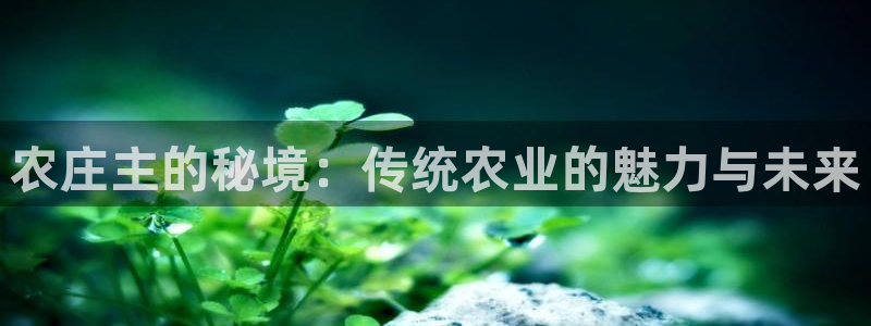琳琅娱乐周7O777