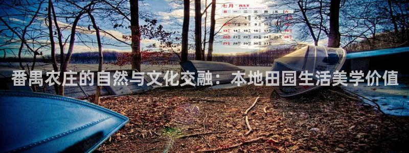 琳琅谈娱乐