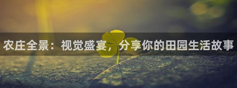 琳琅科技娱乐机器人