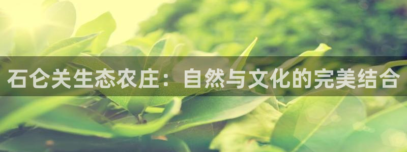 琳琅娱乐领先33300