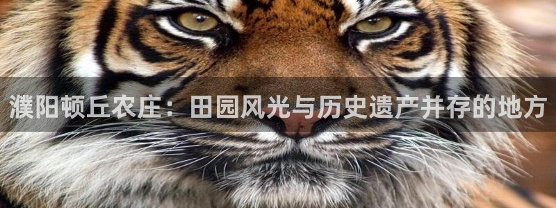 琳琅娱乐4120051