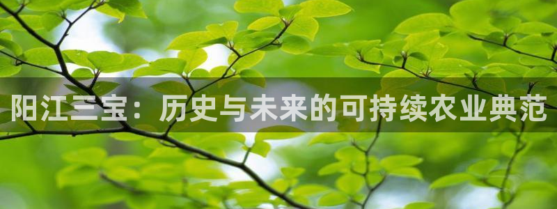 琳琅社区娱乐视频