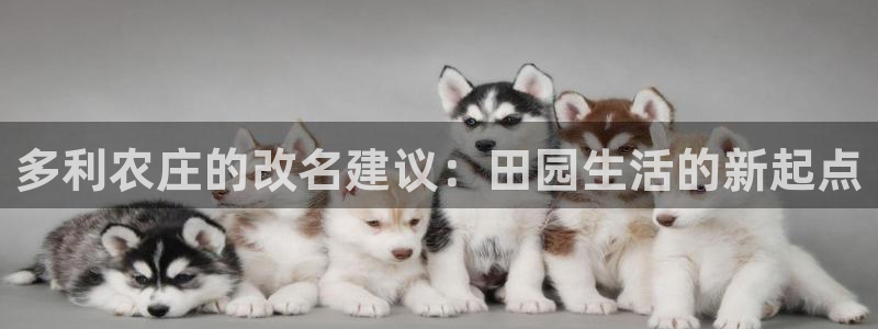 琳琅娱乐平台帐7O777