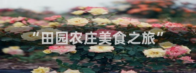 琳琅谈娱乐