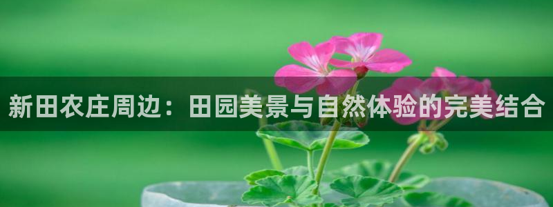 琳琅QQ娱乐机器人