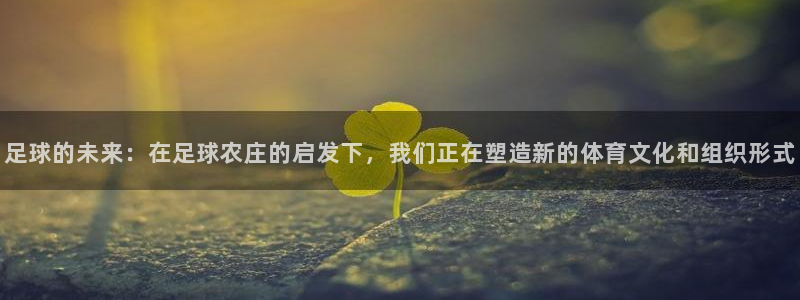 娱乐从琳琅榜开始的小说