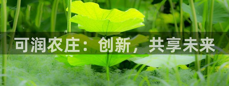 娱乐从琳琅榜开始的小说