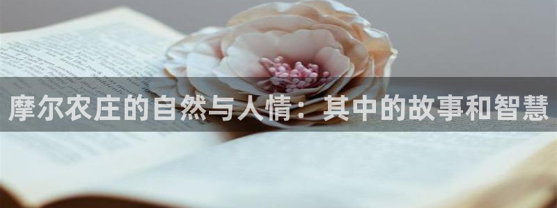 娱乐从琳琅榜开始的小说