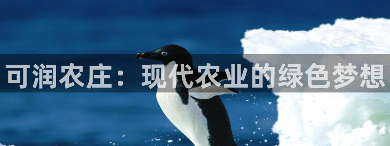 琳琅QQ娱乐机器人