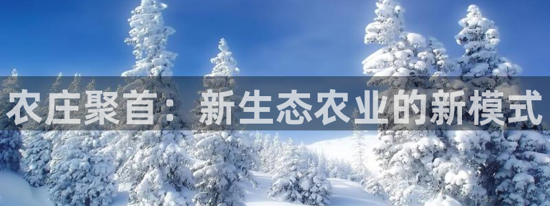 琳琅娱乐领先33300
