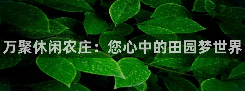 琳琅娱乐工作室