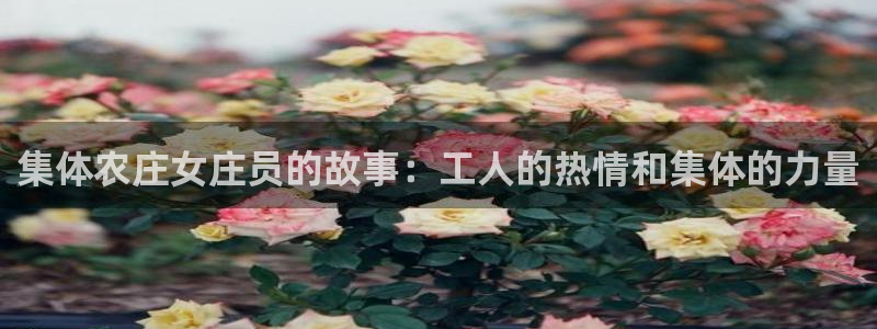 娱乐 从琳琅榜开始