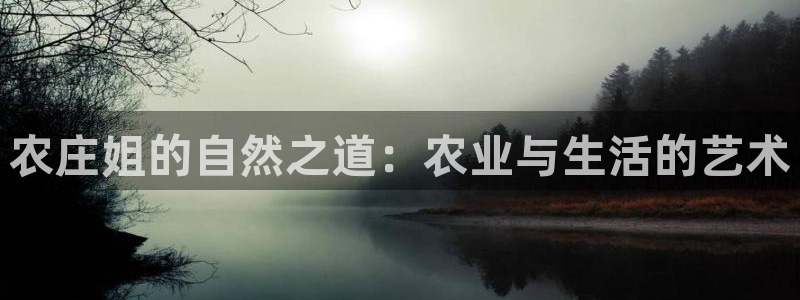 琳琅娱乐社区
