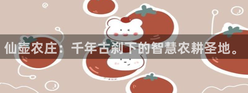 qq飞车琳琅娱乐组