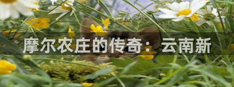 琳琅娱乐m