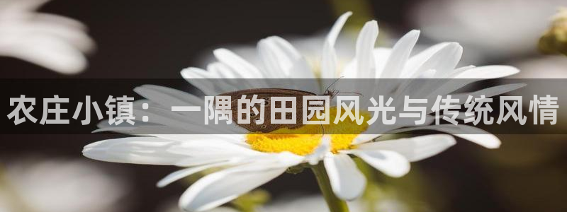 琳琅娱乐是什么
