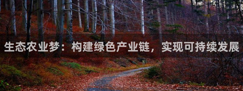 琳琅娱乐平台怎么样