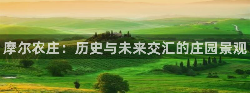 琳琅娱乐工作室地址