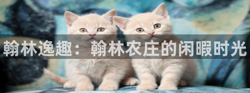 琳琅娱乐领先33300