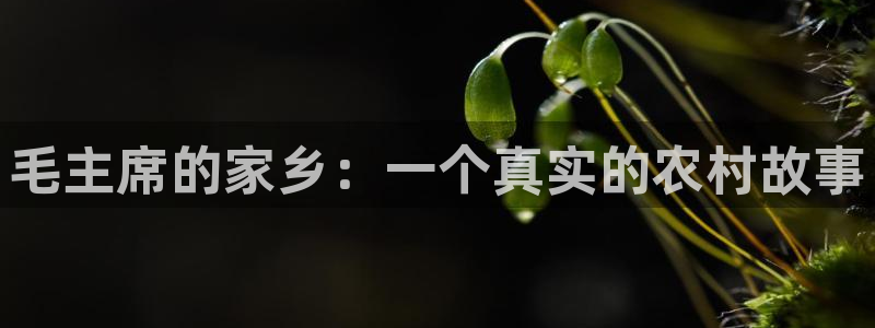 琳琅科技娱乐机器人教程