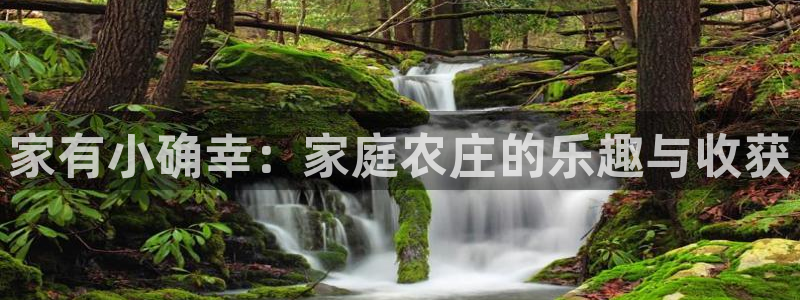 琳琅娱乐注册资金多少钱