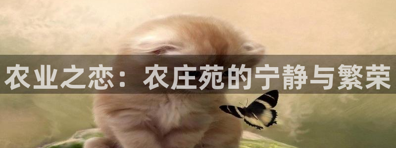 琳琅娱乐工作室招聘