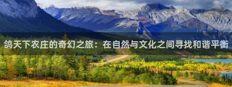 琳琅娱乐 全麦优质