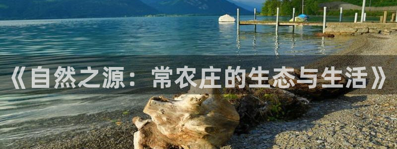 琳琅娱乐是什么