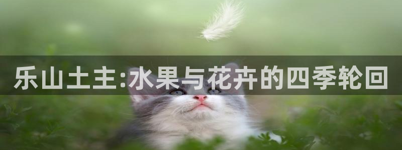 琳琅娱乐工作室地址查询