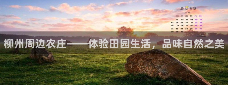 琳琅社区综艺文化娱乐