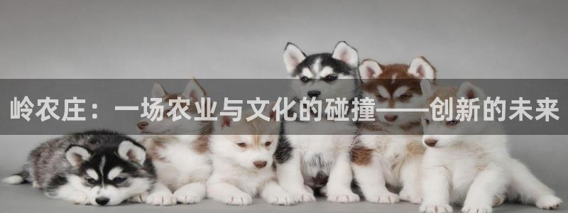 琳琅娱乐装7O777