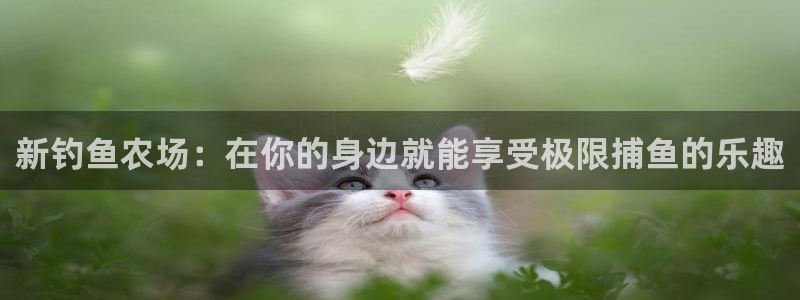 qq琳琅科技娱乐机器人