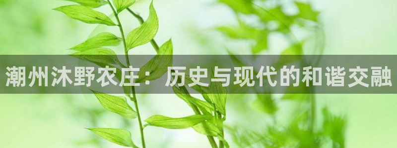 琳琅社区娱乐视频