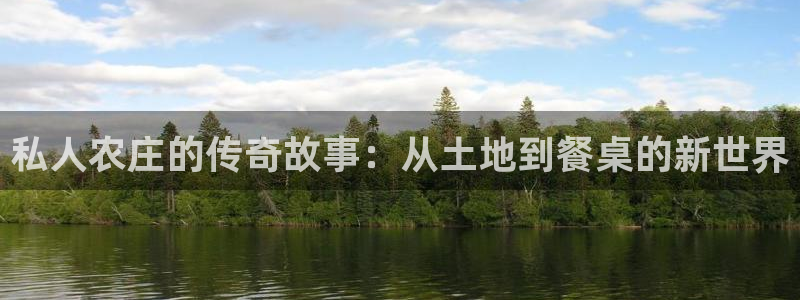 qq飞车琳琅娱乐组