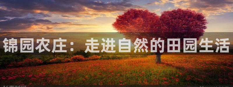 娱乐 从琳琅榜开始