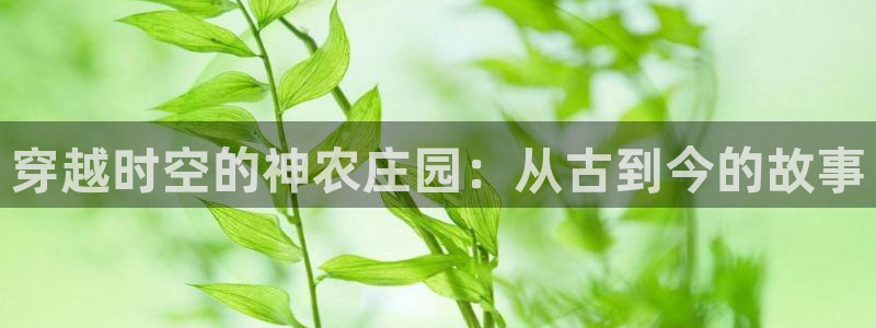 琳琅娱乐注册登录