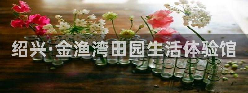 祖龙娱乐官网爱在琳琅