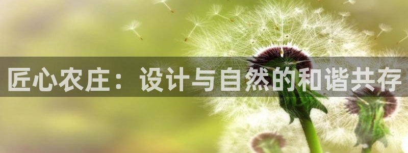 琳琅娱乐代理怎么做的