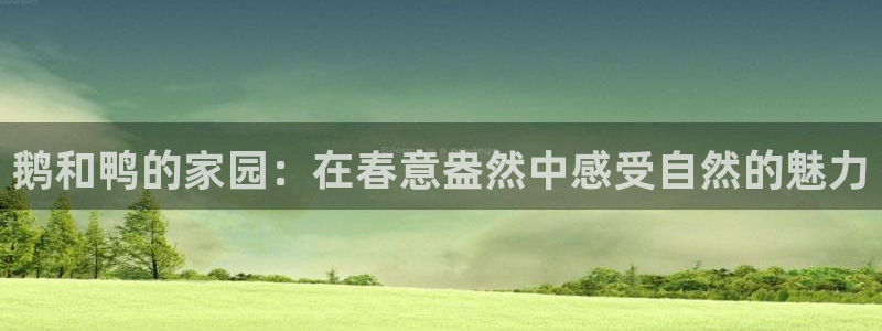 琳琅娱乐m