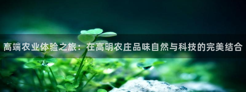 琳琅科技qq娱乐机器人