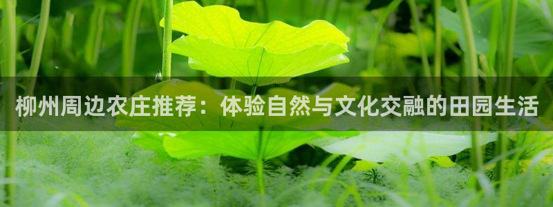 娱乐从琳琅榜开始