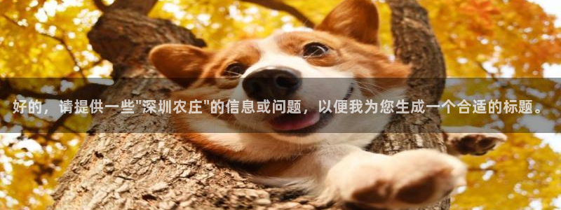 qq琳琅科技娱乐机器人