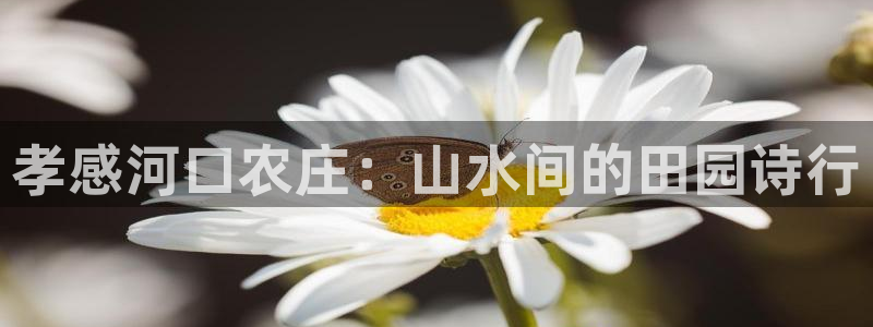 琳琅QQ娱乐机器人