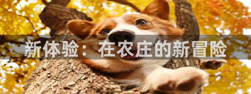 琳琅娱乐放心33300