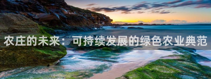 娱乐从琳琅榜开始的小说