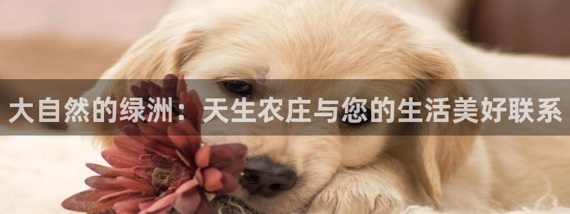 琳琅社区娱乐视频